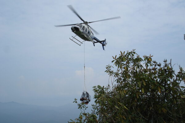 Bear Pen Fire USFS Swain Co 051